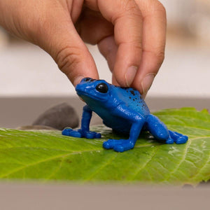 Schleich Wild Life Blue Poison Dart Frog Toy - Realistic Jungle Animal Figure for Kids Ages 3+