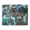 Harry Potter Posters 1,000-Piece Jigsaw Puzzle